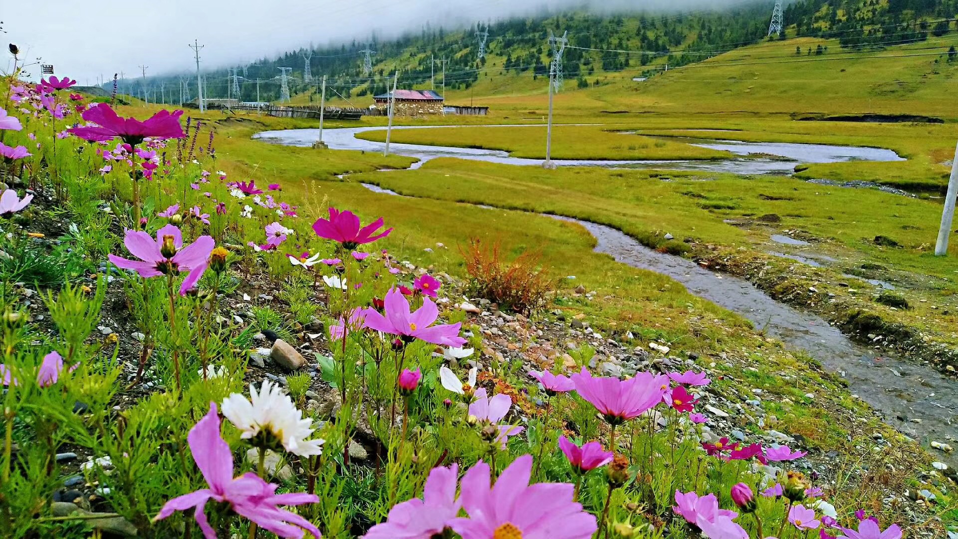 青岛企业研讨会议分类 青岛企业研讨会议分类