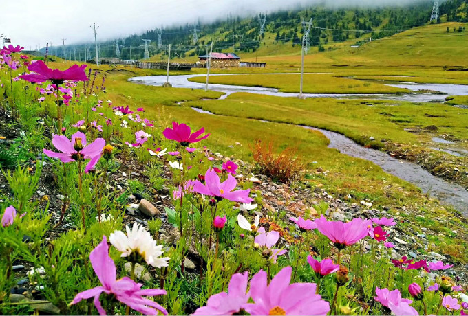 青岛会议旅游纪念品赠送注意事项