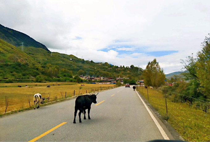 青岛会议旅游用车