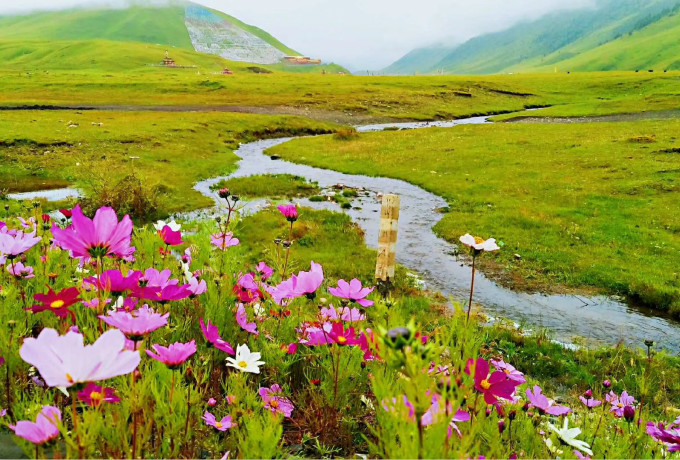 青岛会议就餐标准策划