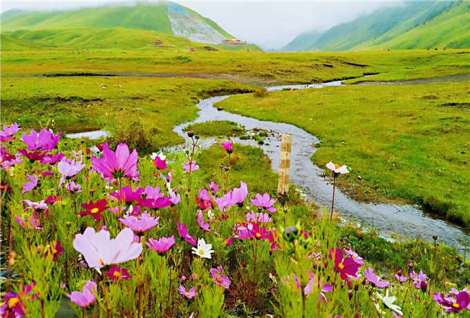 青岛会议大巴接送—青岛会议旅游美景