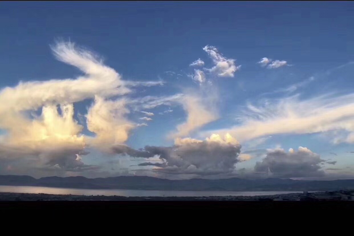 青岛会议公司研讨会发言稿范文（二）