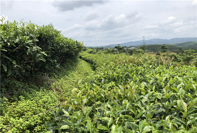 青岛会议就餐费用—青岛会议旅游