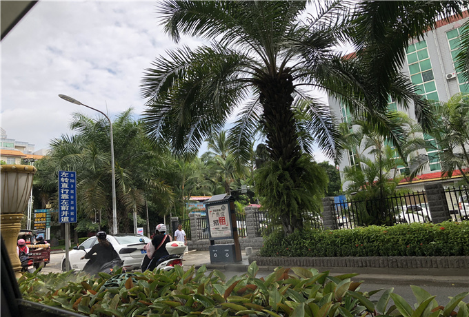 青岛会议大巴包车价格