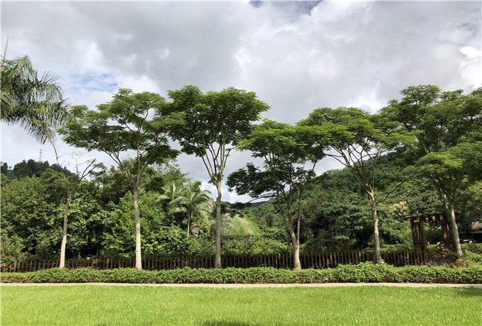 青岛会议大巴包车价格—青岛会议旅游