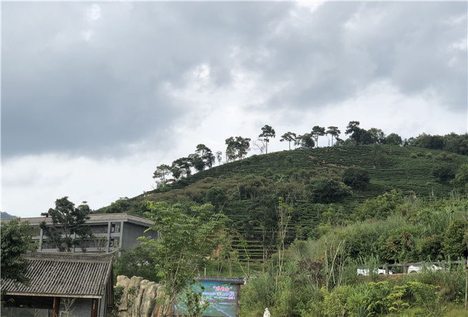 青岛商务拓展会议包车—青岛会议旅游